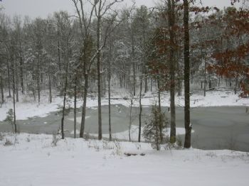 dcountry profile photo