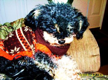 krobbins92 profile photo