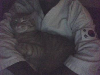 DeeBell profile photo