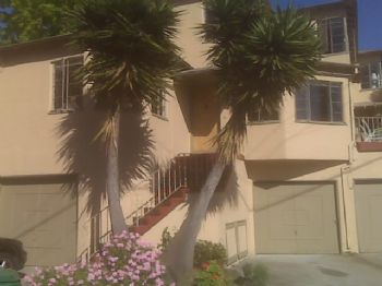 starkled profile photo