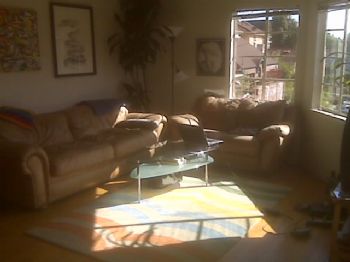 starkled profile photo