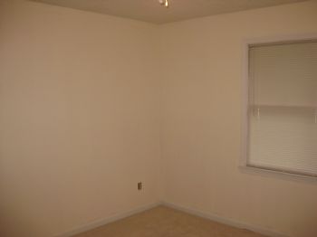 darrad8 profile photo