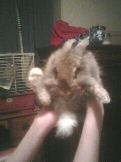 ashwil0924 profile photo