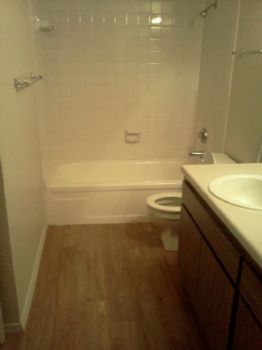 Alainap profile photo