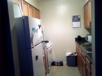 ohgawditsros profile photo