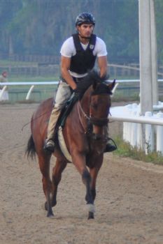 davidmerlot profile photo