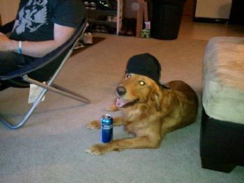 flipdilla profile photo