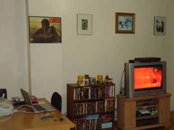 vegetarian99 profile photo