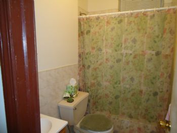 vegetarian99 profile photo