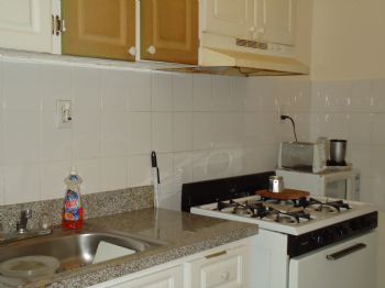 vegetarian99 profile photo