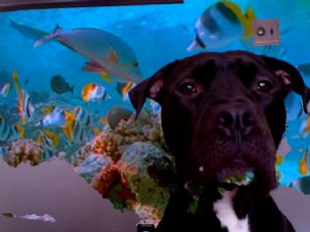 michellen1 profile photo