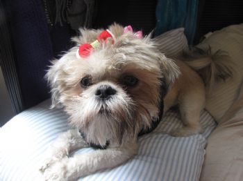 lgerber87 profile photo