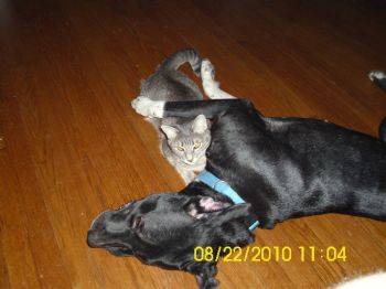 reliksh27 profile photo