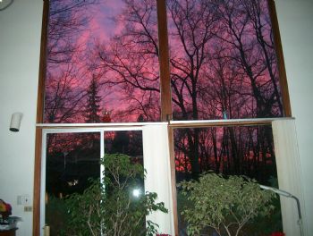 nbancroft profile photo