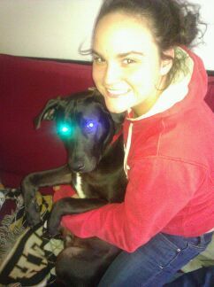 bbell22 profile photo