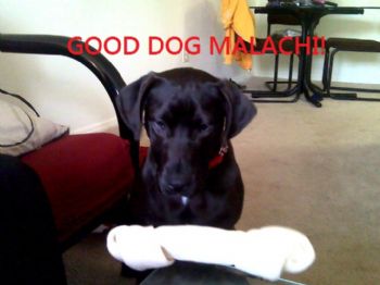 bbell22 profile photo