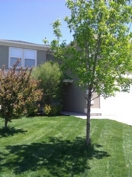 gregjoh profile photo