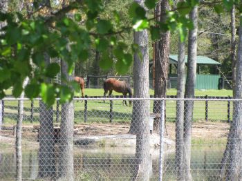 grecord profile photo