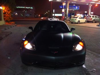 tam2011 profile photo