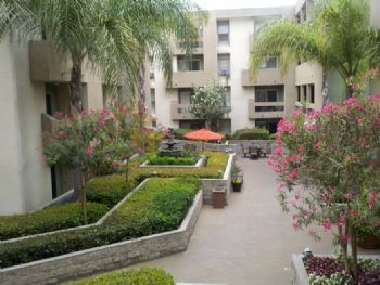 wraiser profile photo