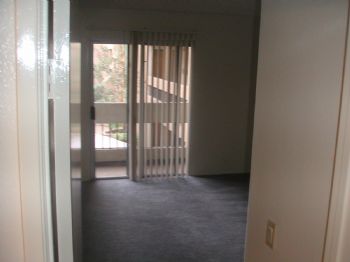 wraiser profile photo