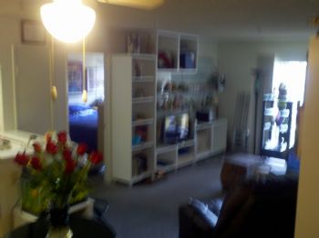 wraiser profile photo