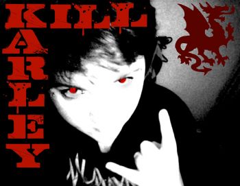 villevalo92 profile photo