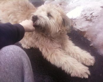 Gemstone43 profile photo