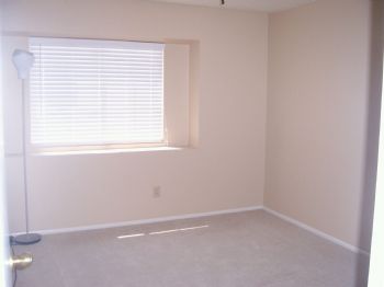 trtharp91 profile photo