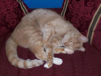 Leelee353 profile photo