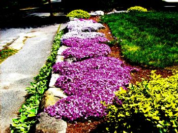 Leelee353 profile photo