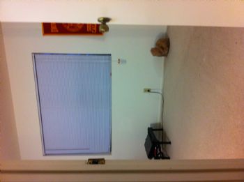 mms218 profile photo