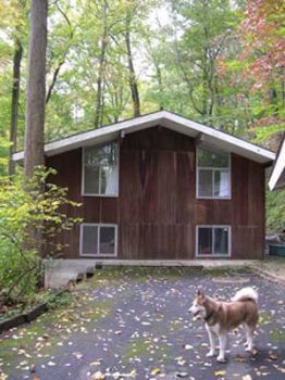 kmkphoto1 profile photo