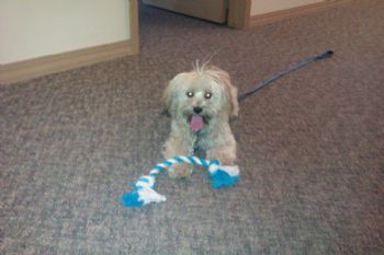 tmurray profile photo