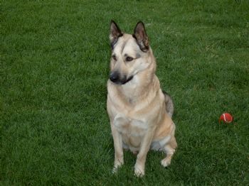 katie0521 profile photo