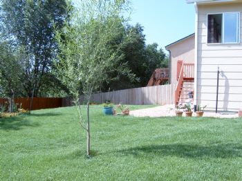 katie0521 profile photo