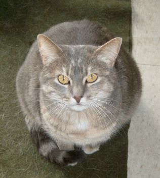 katie0521 profile photo