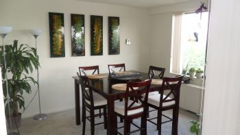 sn3838a profile photo