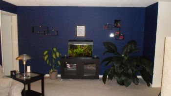 sn3838a profile photo