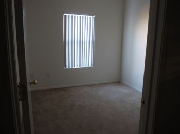 hopefulJazz profile photo