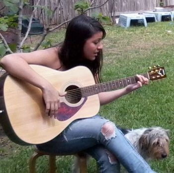 dobbydog profile photo