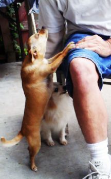 ADuval profile photo