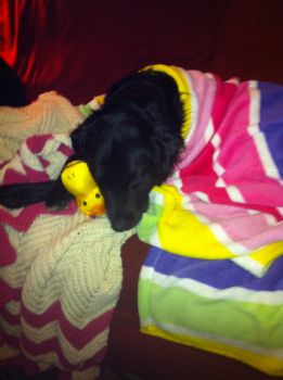 shannon2004 profile photo