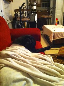 shannon2004 profile photo