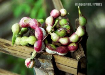 hkkljoo profile photo