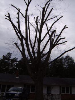 jimsfl profile photo