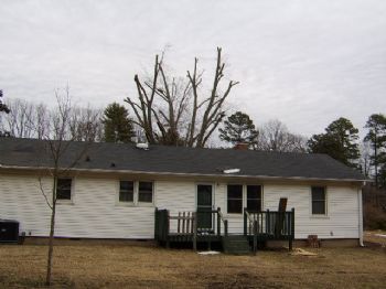 jimsfl profile photo