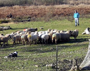 grd777 profile photo