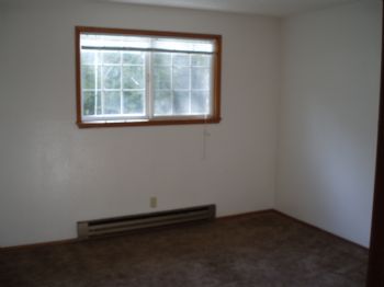 brnadrtee profile photo