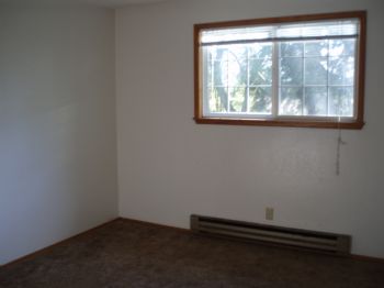 brnadrtee profile photo